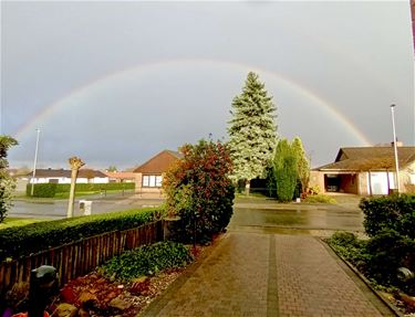 Temperaturen onder het vriespunt - Beringen & Leopoldsburg