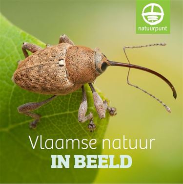 Tentoonstelling Vlaamse natuur IN BEELD - Beringen