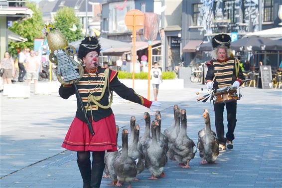 Terrasdonderdag: een mager beestje - Lommel