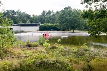 Weer groene vlag aan de Watersnip - Beringen