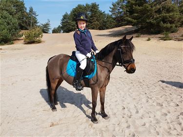 Tesse en Rapidas zijn kampioen - Leopoldsburg