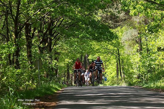 Teutenroute langs de Doodendraad - Hamont-Achel