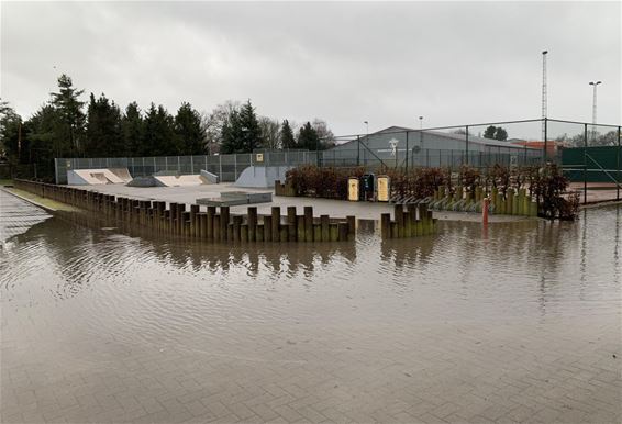 Teveel regen is ook niet goed - Pelt