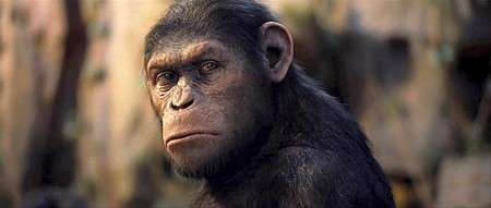 'The Rise of the Planet of the Apes' - Hamont-Achel