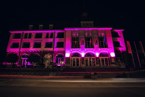 Think Pink, ook Beringen kleurt roze - Beringen