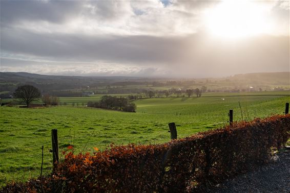 Bree - Tien herfstwandelingen buiten Bree