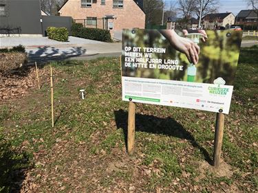 Tien meetpunten voor 'Curieuze Neuzen in de tuin' - Beringen