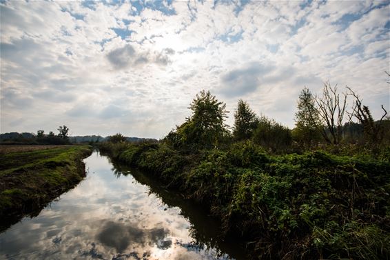 Tijd om te wandelen - Beringen