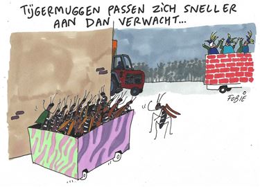 Tijgermuggen tijdens carnaval?