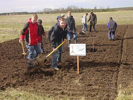 TIO-boompjes bij het Vlinderbos - Overpelt