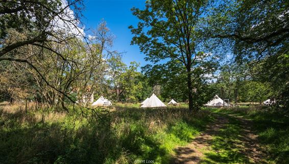 Tipi-dorpje bij het Hobos - Pelt