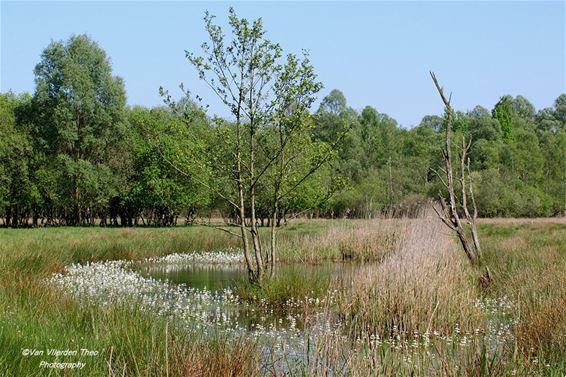 Toch een prachtige streek - Hamont-Achel