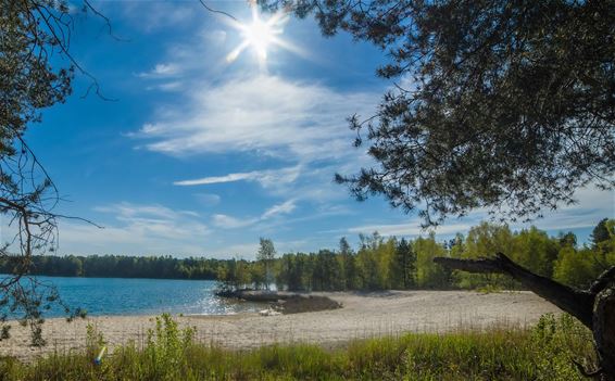 Toch géén pop-up aan Heuvelse Heide - Lommel