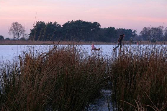 Toch maar oppassen op het ijs... - Hamont-Achel