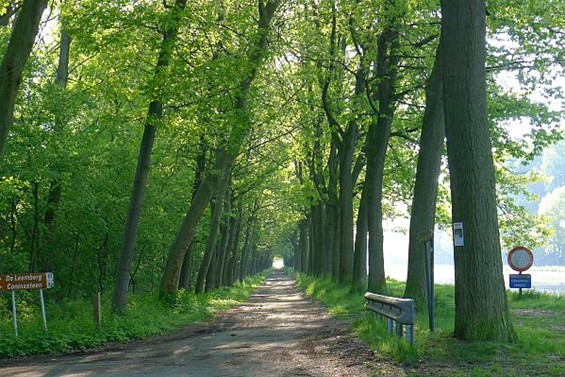 Toch mooi, die dreef - Neerpelt