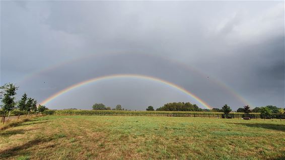 Toch mooi, zo'n regenboog - Hamont-Achel