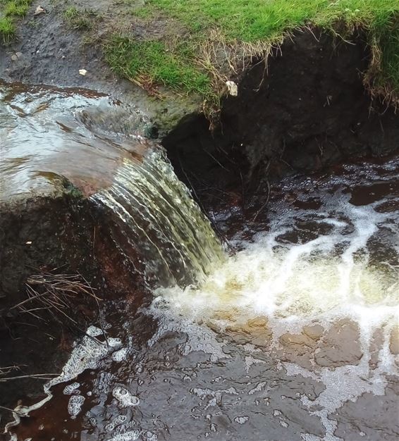 Toch niet echt drinkbaar water? - Peer