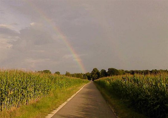 Toch nog regen vanavond - Meeuwen-Gruitrode