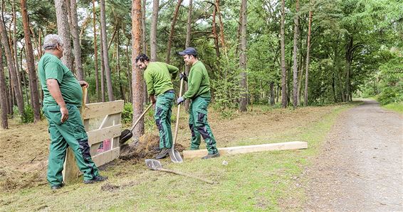 Toegangspoorten voor uitloopweide honden - Lommel