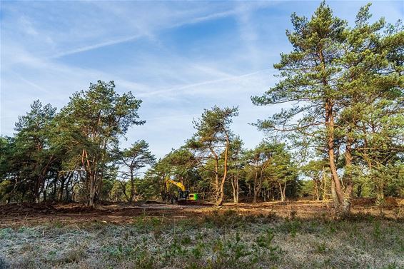 Toekomstgericht beheer in de Vriesput - Lommel