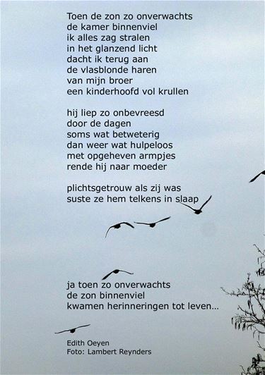 Toen de zon... - Beringen & Leopoldsburg