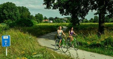 Toeristische fietsverhuur in de lift