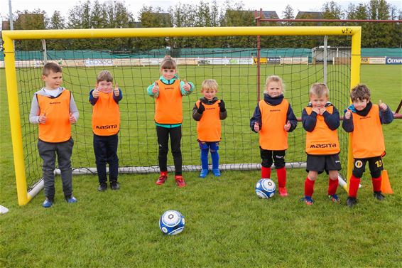 Tof voetbalkamp bij Stal Sport - Beringen