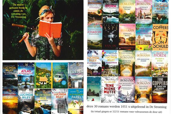 Pelt - Top 30 uitgeleende boeken in De Stroming
