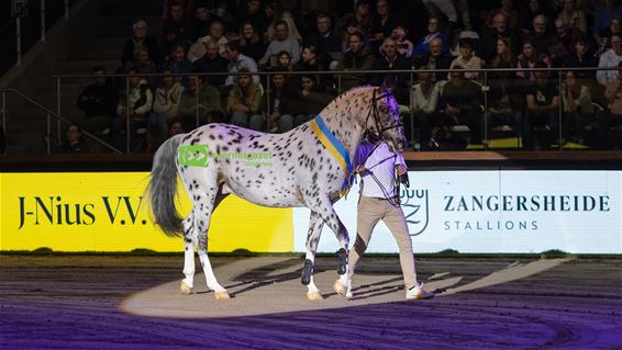 Toppaardensport in Oudsbergen - Oudsbergen