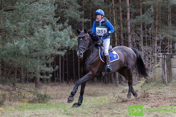 Topruiter Karin Donckers in actie op Holheide - Pelt