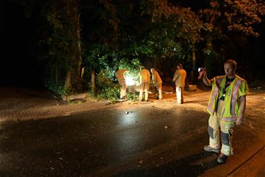 Tot 265.000 euro schade door storm in juni - Beringen