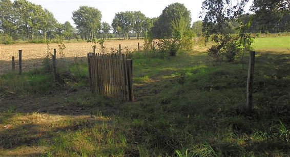 Trage weg in Olmenstraat weer open - Pelt