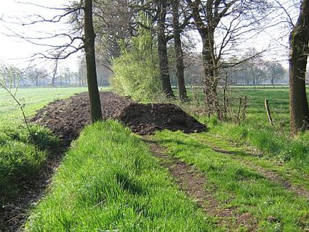 'Trage weg' was geen 'trage weg' - Neerpelt