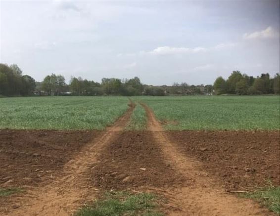 Trage wegen-wandeling langs kerkpad 124 - Beringen