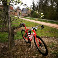 Trappen naar de bloesems - Pelt