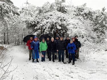 Trefpuntwandelaars op stap in besneeuwde Sahara - Lommel