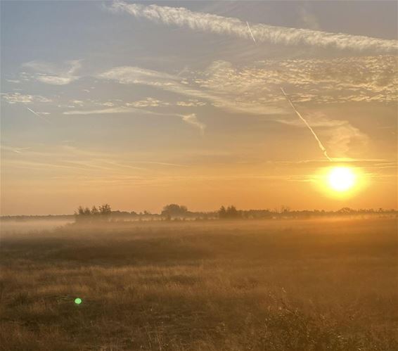 Trektellen in het Hageven - Pelt