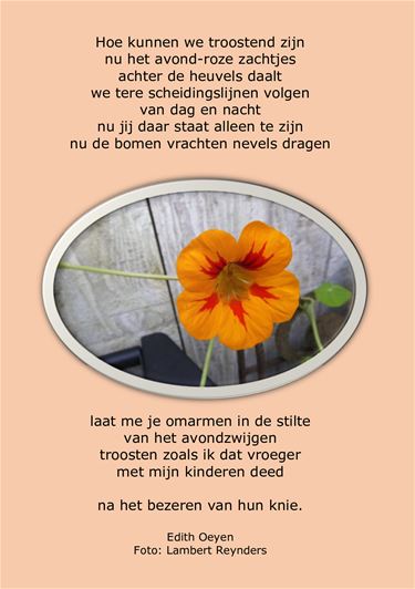 Troostend zijn - Beringen & Leopoldsburg