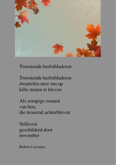 Troostende herfstbladeren - Beringen