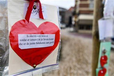 Troostplekken worden liefdesplekken - Beringen