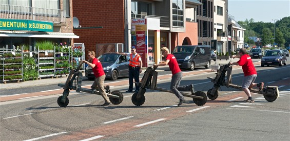 De tsukudu's zijn er - Neerpelt