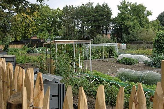 Tuinhappening: wie heeft de zwaarste? - Peer