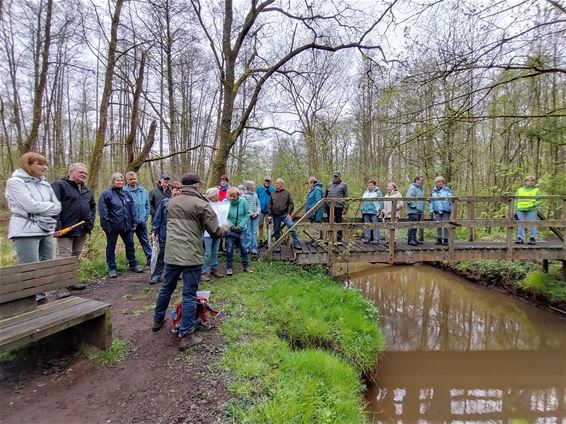 Tuinhier 't hent-lille op dauwwandeling - Pelt