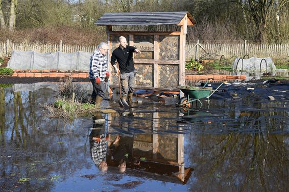 Tuinieren met de voeten in het water - Beringen