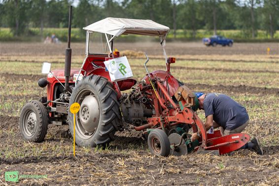Twee dagen precisiewerk op het EK Oldtimer Ploegen - Hamont-Achel
