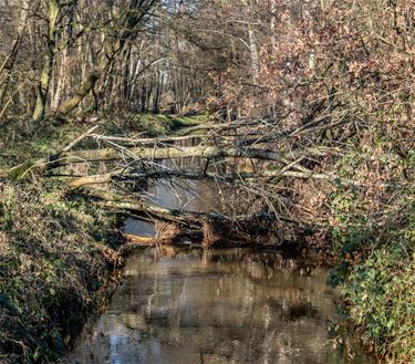 Twee infomomenten over natuurherstel Dommelvallei - Hechtel-Eksel
