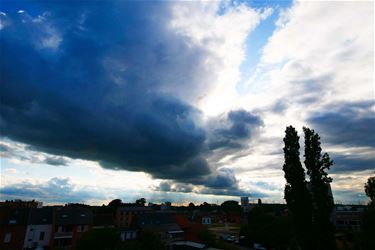 Pelt - Twee zonnige dagen