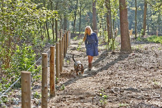 Tweede hondenlosloopzone geopend - Lommel