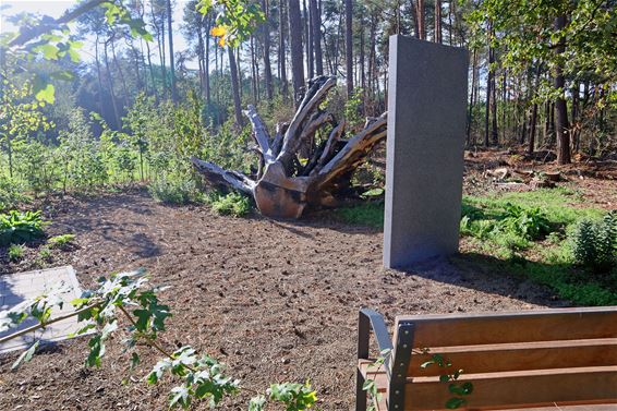 Tweede natuurbegraafplaats in gebruik genomen - Pelt