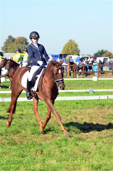 Tweemaal kampioene, drie dagen na verkeersongeval - Lommel